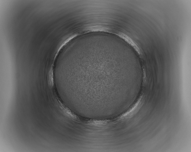 X0000111810782200908061114