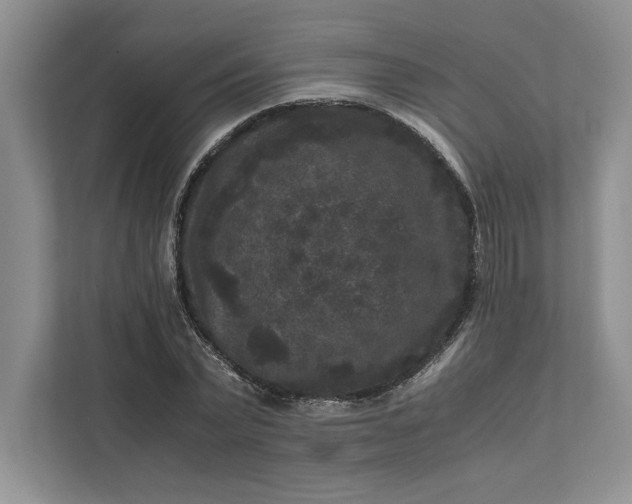 X0000111810783200908061114