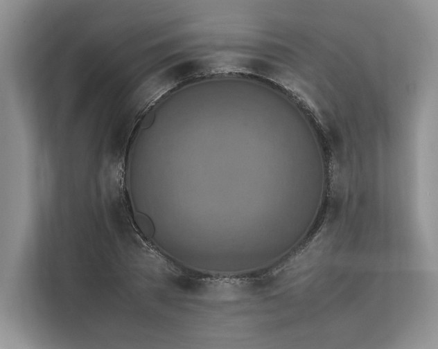 X0000111810785200908061114