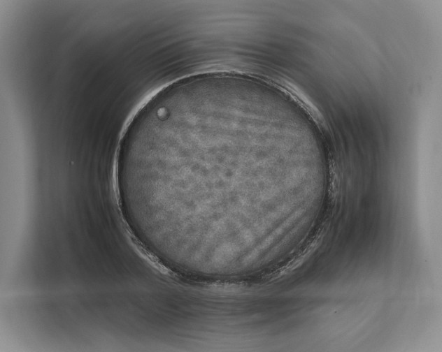 X0000111810788200908061114