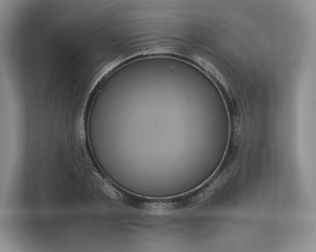 X0000111810789200908061114