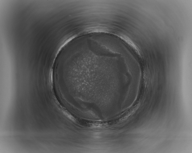 X0000111810790200908061114