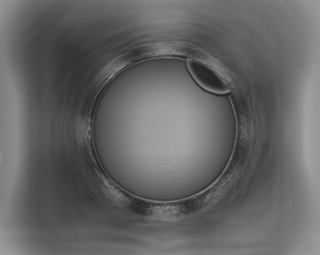 X0000111810793200908061114