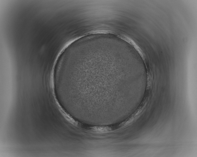 X0000111810795200908061114