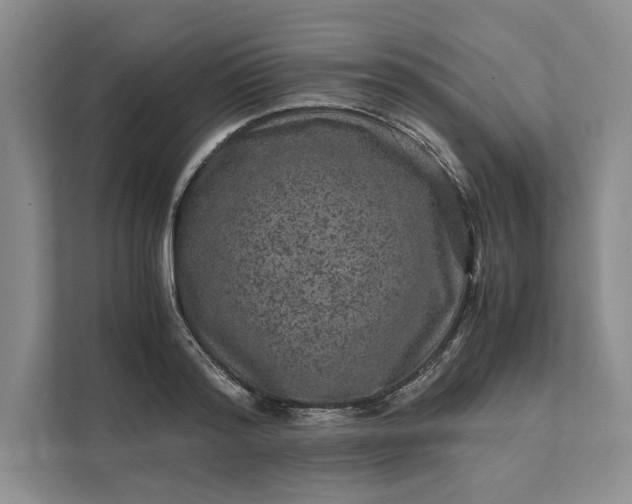 X0000111810796200908061114