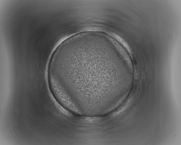 X0000111810803200908061114