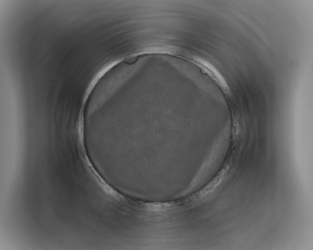 X0000111810804200908061114