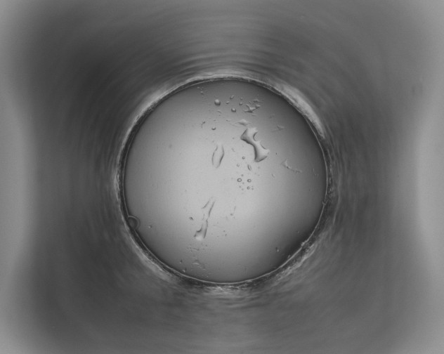 X0000111810805200908061114