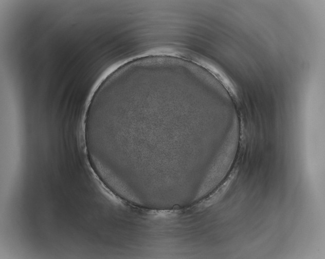 X0000111810808200908061114