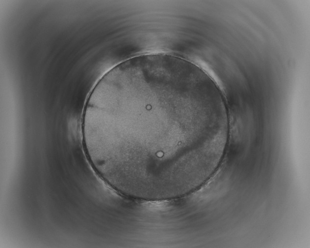 X0000111810810200908061114