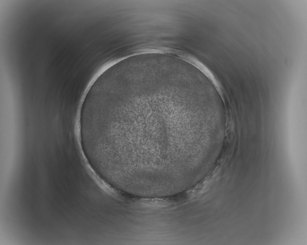 X0000111810811200908061114