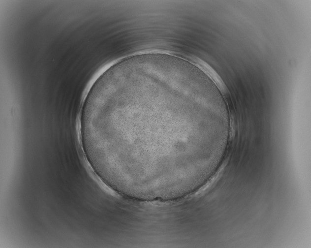 X0000111810812200908061114