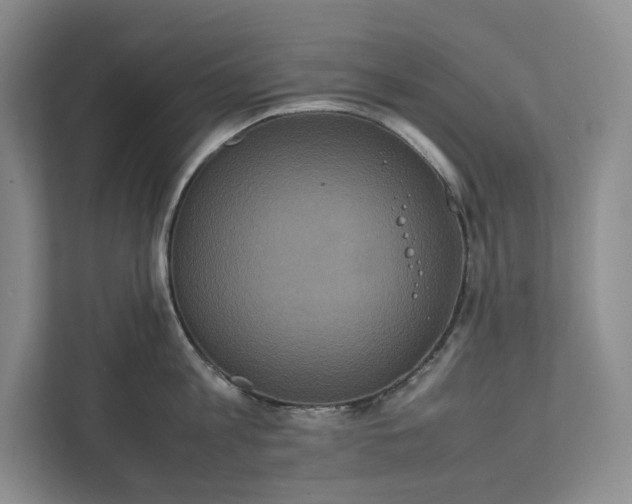 X0000111810813200908061114