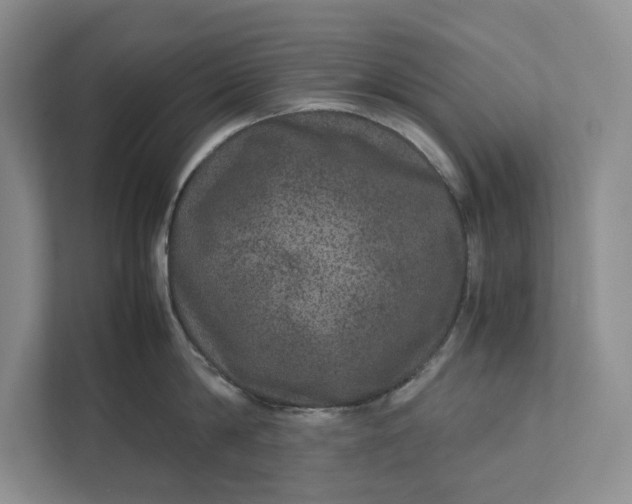 X0000111810814200908061114