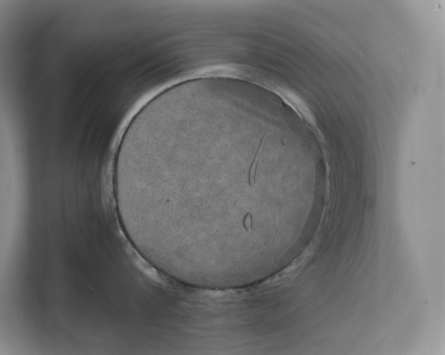 X0000111810816200908061114