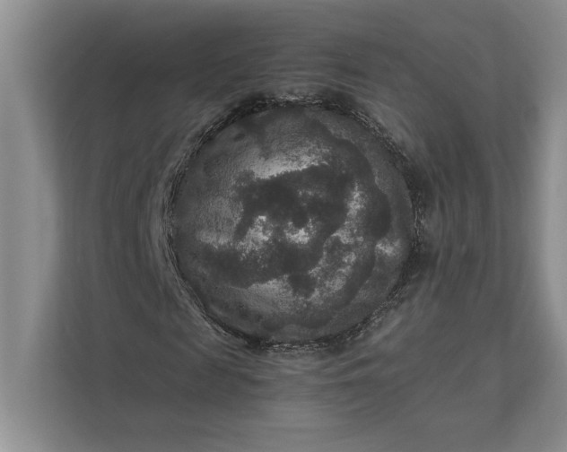X0000111810817200908061113