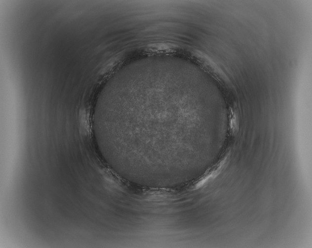X0000111810819200908061113