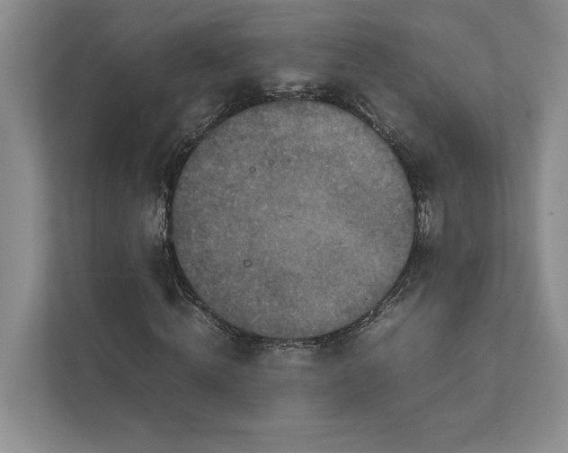 X0000111810820200908061113