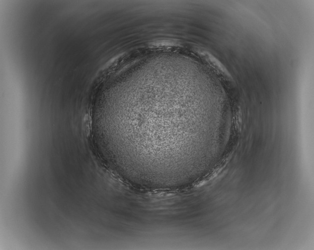 X0000111810821200908061113