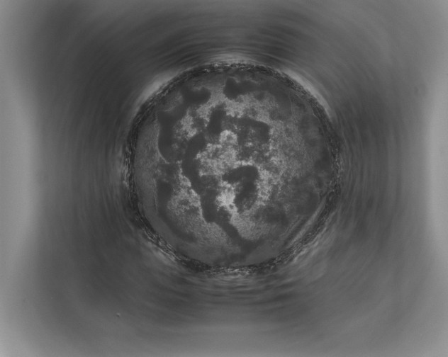 X0000111810823200908061113