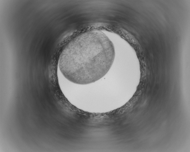 X0000111810824200908061113