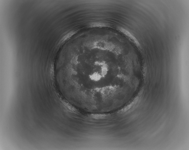 X0000111810825200908061113
