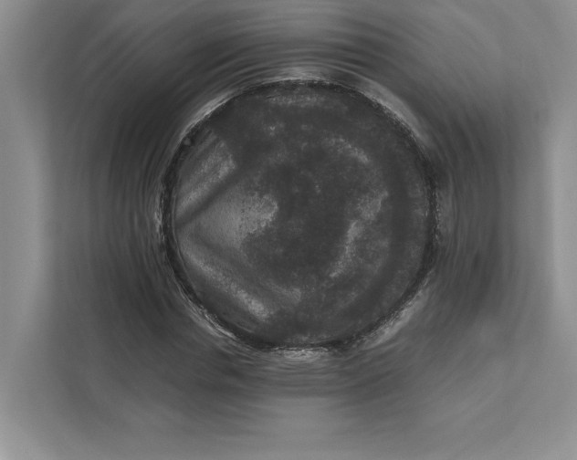 X0000111810826200908061113