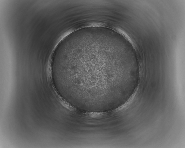 X0000111810827200908061113