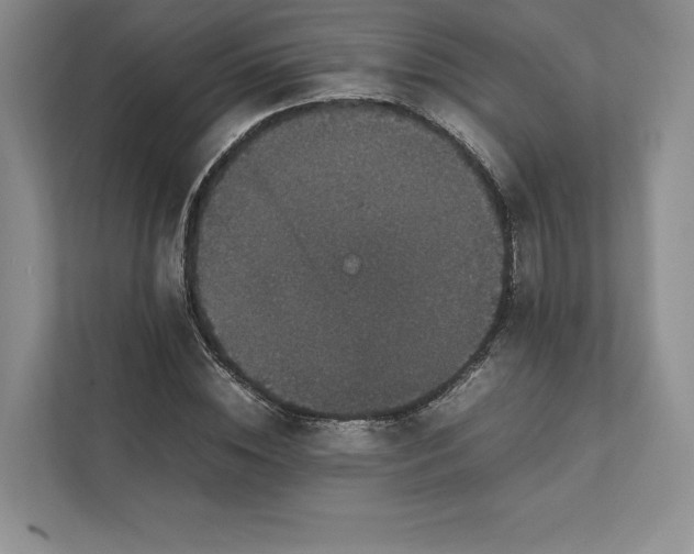 X0000111810828200908061113