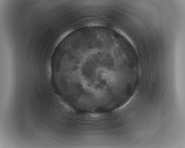 X0000111810829200908061113