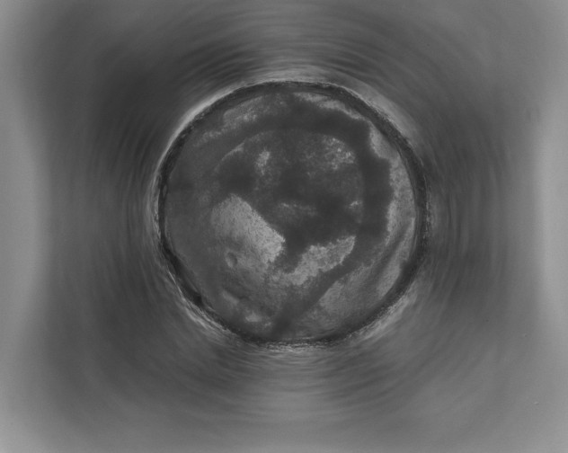 X0000111810830200908061113