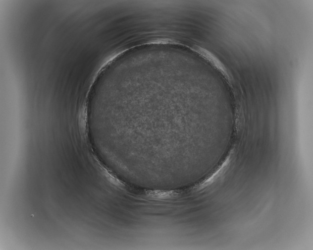 X0000111810831200908061113
