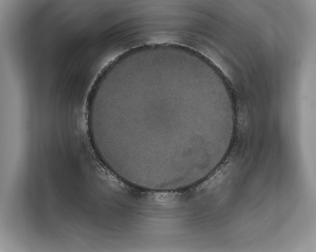 X0000111810832200908061113