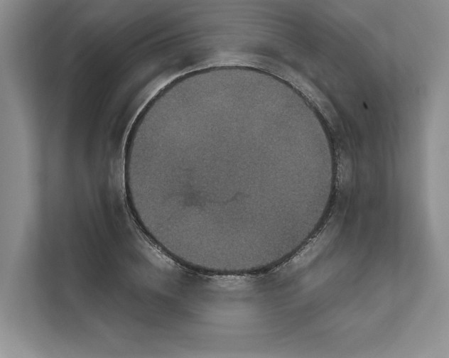 X0000111810836200908061114