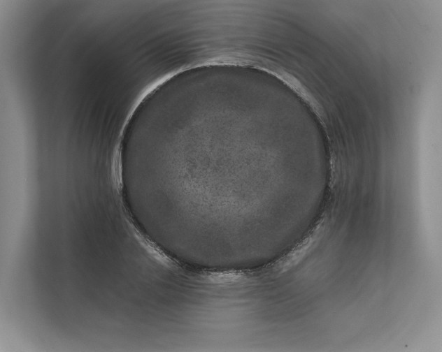 X0000111810838200908061114