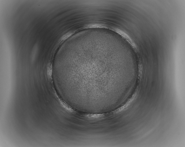 X0000111810841200908061114