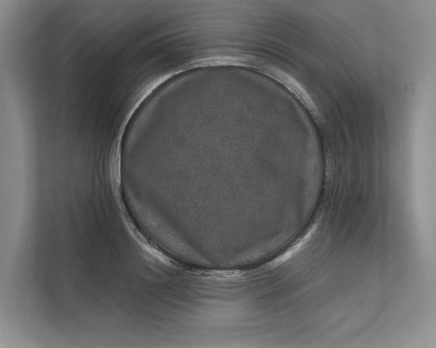 X0000111810844200908061114