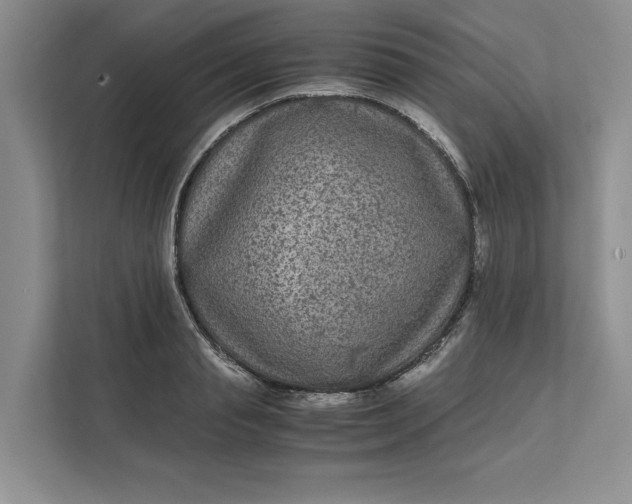 X0000111810845200908061114