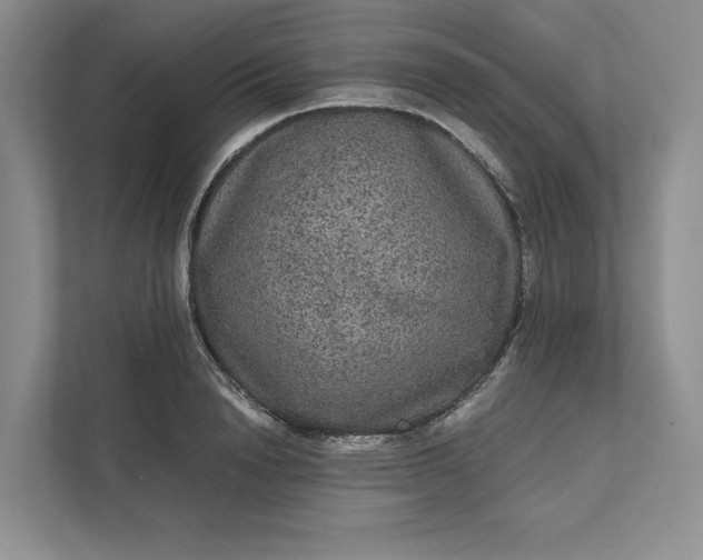 X0000111810846200908061114