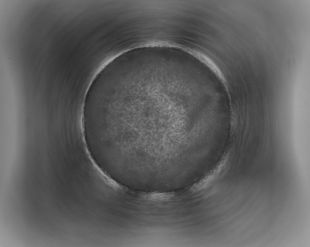 X0000111810847200908061114