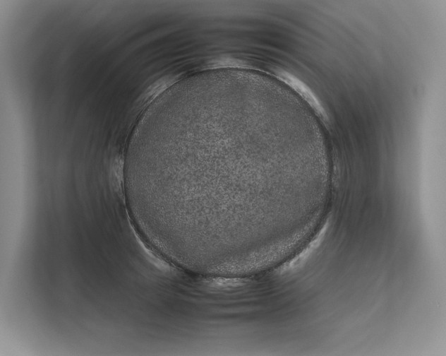 X0000111810849200908061114