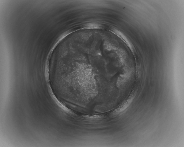 X0000111810851200908061114
