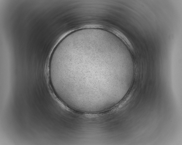 X0000111810852200908061114