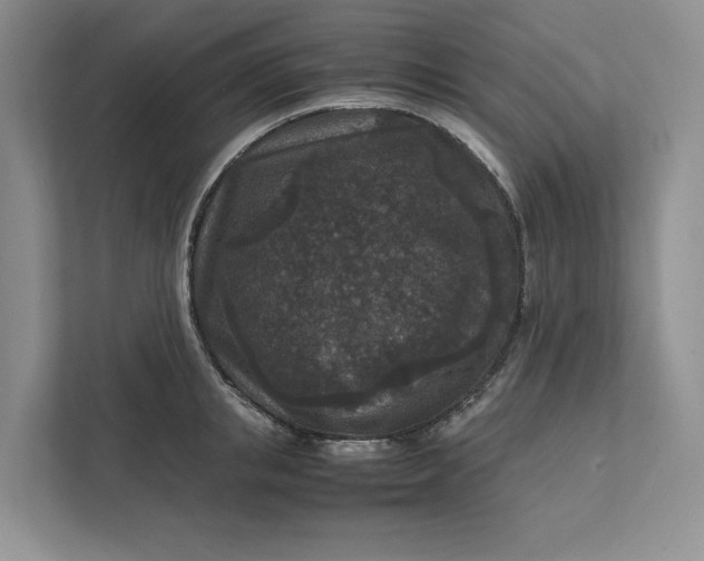 X0000111810853200908061114