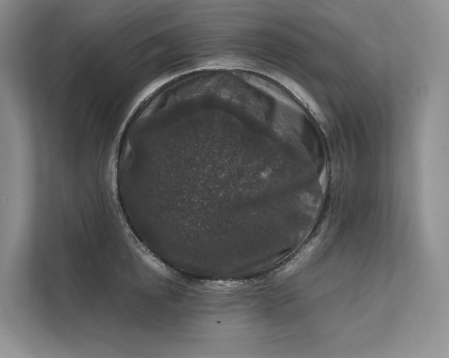 X0000111810854200908061114