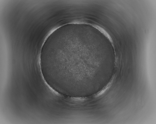 X0000111810855200908061114