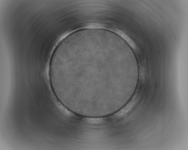 X0000111810856200908061114