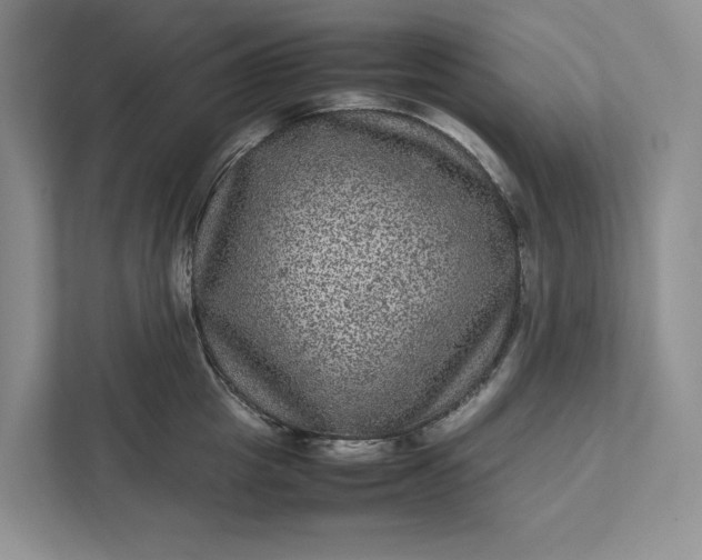 X0000111810857200908061114