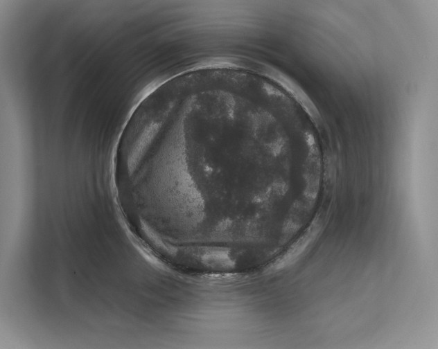 X0000111810858200908061114