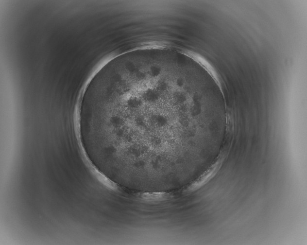 X0000111810859200908061114